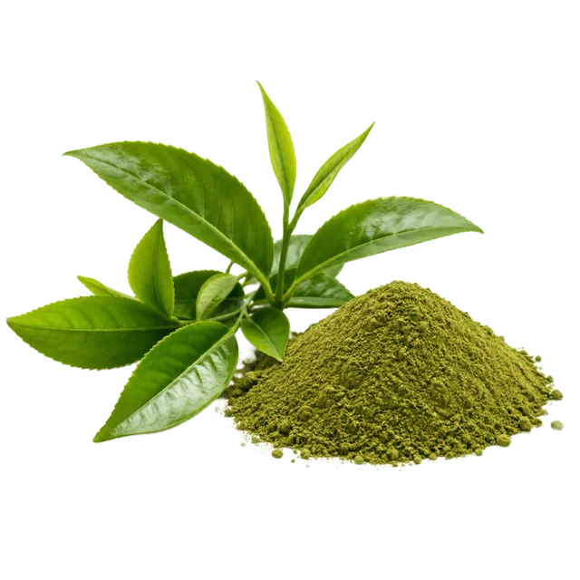 Зелен чай (EGCG)